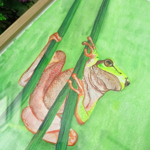 Obraz A4 – Zielona Rzekotka (akwarela)