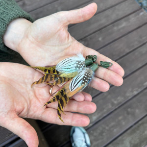 Klipsy  pióra kolorowe