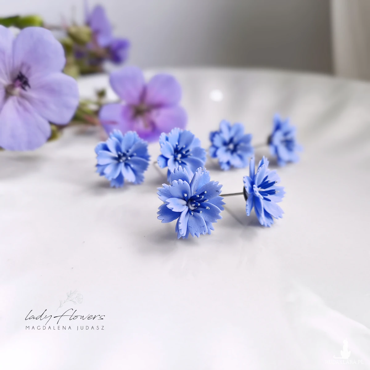 Kolczyki z kwiatem cykorii