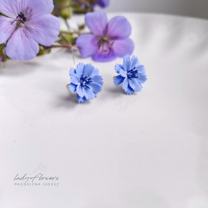 Kolczyki z kwiatem cykorii