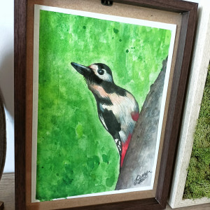 Obraz A4 „Dzięcioł duży” – akwarela w ramce z ciemnego drewna