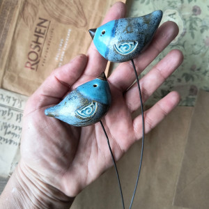 Ptaszki niebiesko-srebrzyste