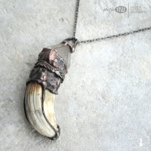 Kieł dzika z kryształem 02