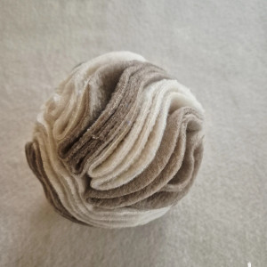 Kula węchowa dla psa