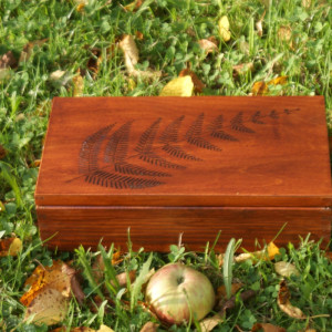 herbaciarka/szkatułka z paprocią