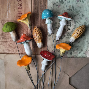 Zestaw 10 grzybków na piku