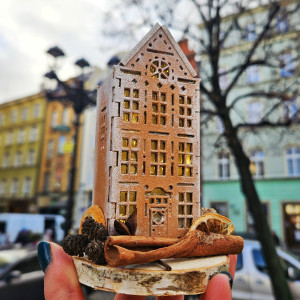 Mini kamieniczka lampion - z suszem