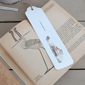 Zakładka śpiaca foka