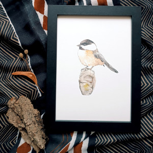 Sikora jednoskrzydła ilustracja A5