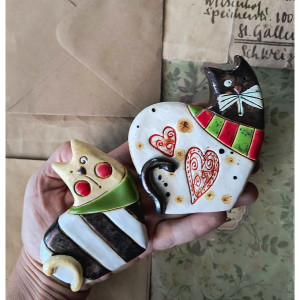 Kot w czarno-białe paski