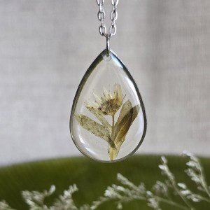 Wieczny kwiat dzikie kwiaty prawdziwe suszone