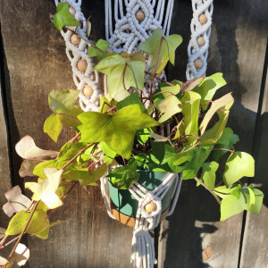 Kwietnik naścienny SPLOT NATURY