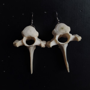 Kolczyki kręgi duszki duże