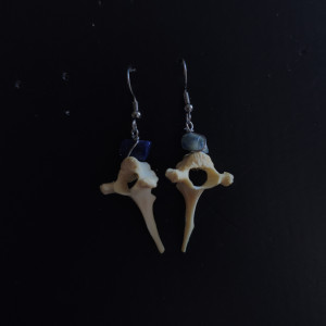 Kolczyki z kręgami kota i sodalitem