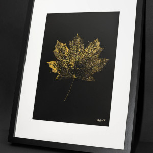 Monotypia Botaniczna. Złoty Liść Klonu. Obraz w Ramie A3