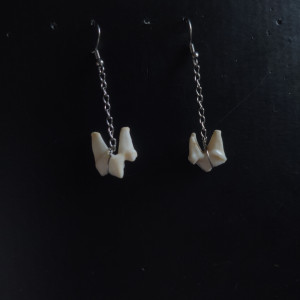 Kolczyki z zawieszonymi zębami na łańcuszku