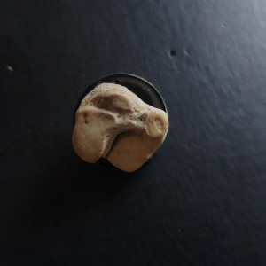 Przypinka z kością