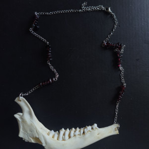Naszyjnik z granatem oraz żuchwa sarny