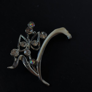 Broszka z żebrem kota