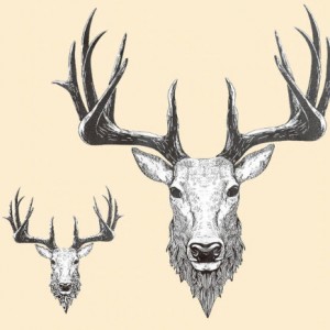 Naklejka naprasowanka na bluzkę jeleń