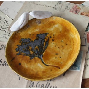 Talerzyk miodowy z koprem średni