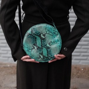 Zielony smok okrągła