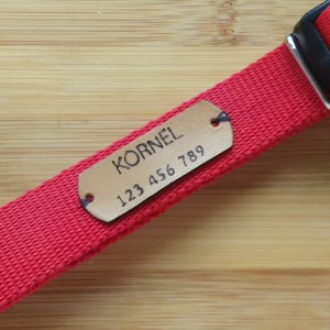 Adresówka dla zwierząt na taśmę 2 cm