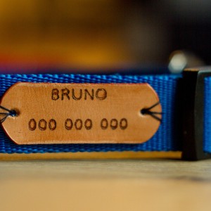 Adresówka dla zwierząt na taśmę 2,5 cm