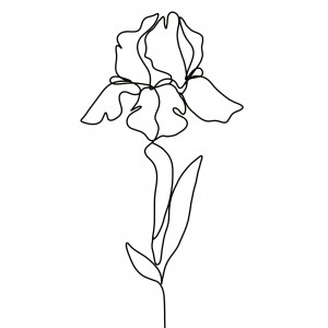 "Irys" grafika autorska, plik cyfrowy do pobrania, wydrukuj jak chcesz