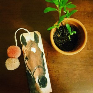 Zakładka do książki Cwał