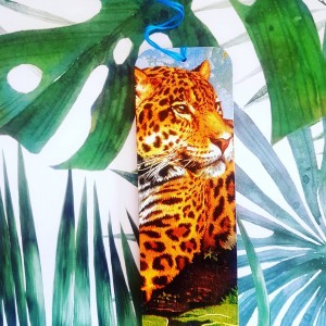 Zakładka do książki Safari 2