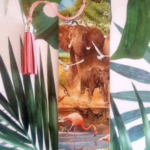 Zakładka do książki Safari 3