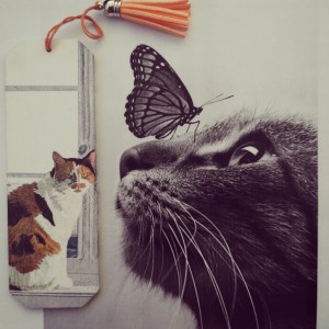 Zakładka do książki Kociak