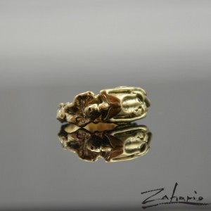 Pierścień Głód Brąz Zahario