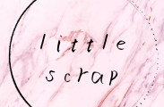 little scrap