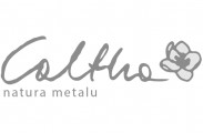 Caltha - minimalistyczna natura metalu