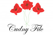 Cudny Filc