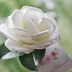 Ślubna spinka - róża ivory