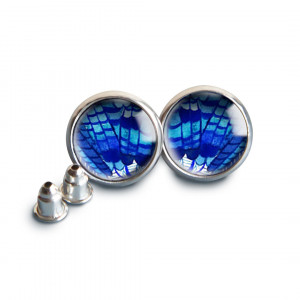 Modrosójka wkrętki