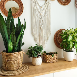 Makrama na naturalnej bukowej gałęzi