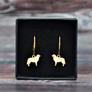 Berneński Pies Pasterski - kolczyki, srebro 925