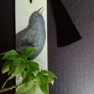 Zakładka do książki Black bird