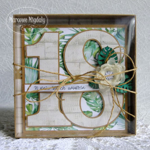 Kartka na osiemnastkę, urodzinowa kartka w pudełku, eko monstera