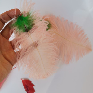 Kolczyki  pióra pastel