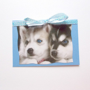 psy kartki, husky kartka, pies kartka bez życzeń, zwierzęta kartki, zwierzęta kartki, fajne kartki z psami