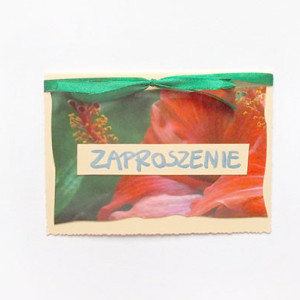 ogólne zaproszenie, zaproszenie na imprezę, zaproszenie na różne okazje, proste zaproszenia, uniwersalne zaproszenia, puste zaproszenie