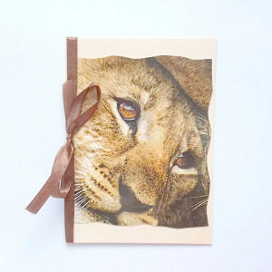 lew kartka bez życzeń,  zwierzęta kartki, kartka z lwem, dziki kot kartka, kartki ze zwierzętami, fajne kartki na różne okazje