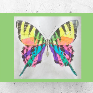 motylek plakat A4, motylek obrazek 21x30, kolorowy plakat z motylkiem, obrazek z motylkiem, motyl plakat 21x30, motyl obrazek A4, małe plakaty do domu, boho posters A4, fajne plakaty vintage