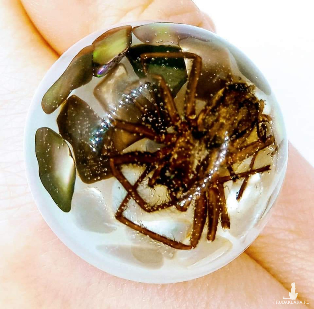 Duży pierścionek pierścień pająk w żywicy stal regulacja