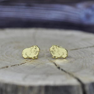 Świnka morska - kolczyki sztyfty, srebro 925 pozacane